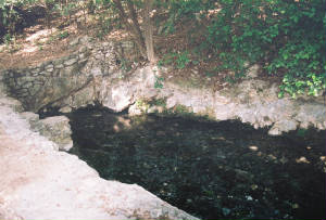Free flowing from the Edwards Aquifer
