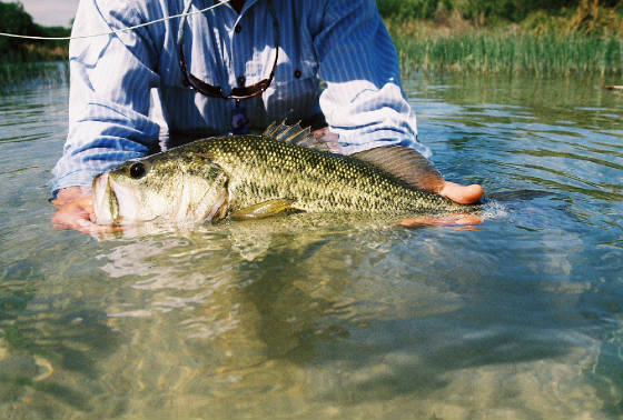 Fly Fishing Texas Hill Country