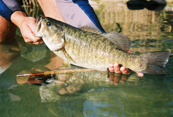 Devils River Guided Flyfishing