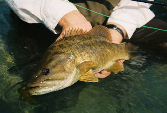 Devils River Fly Fishing