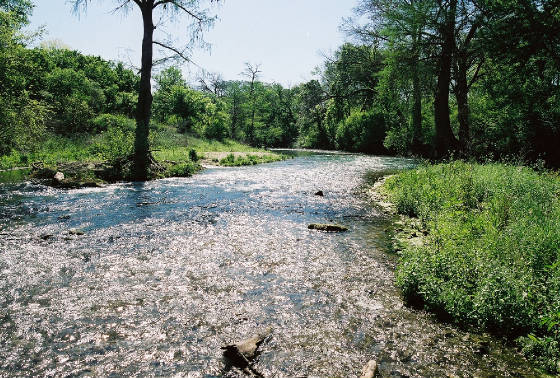 Fly Fishing Texas San Marcos River Guide Trip