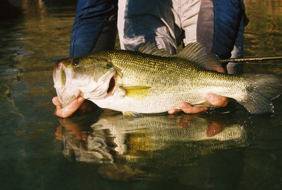 Devils River Fly Fishing