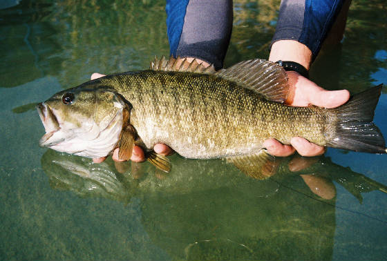 Fly Fishing Texas Near Austin and San Antonio