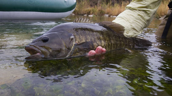 Fly Fishing Texas Guided Raft Trip