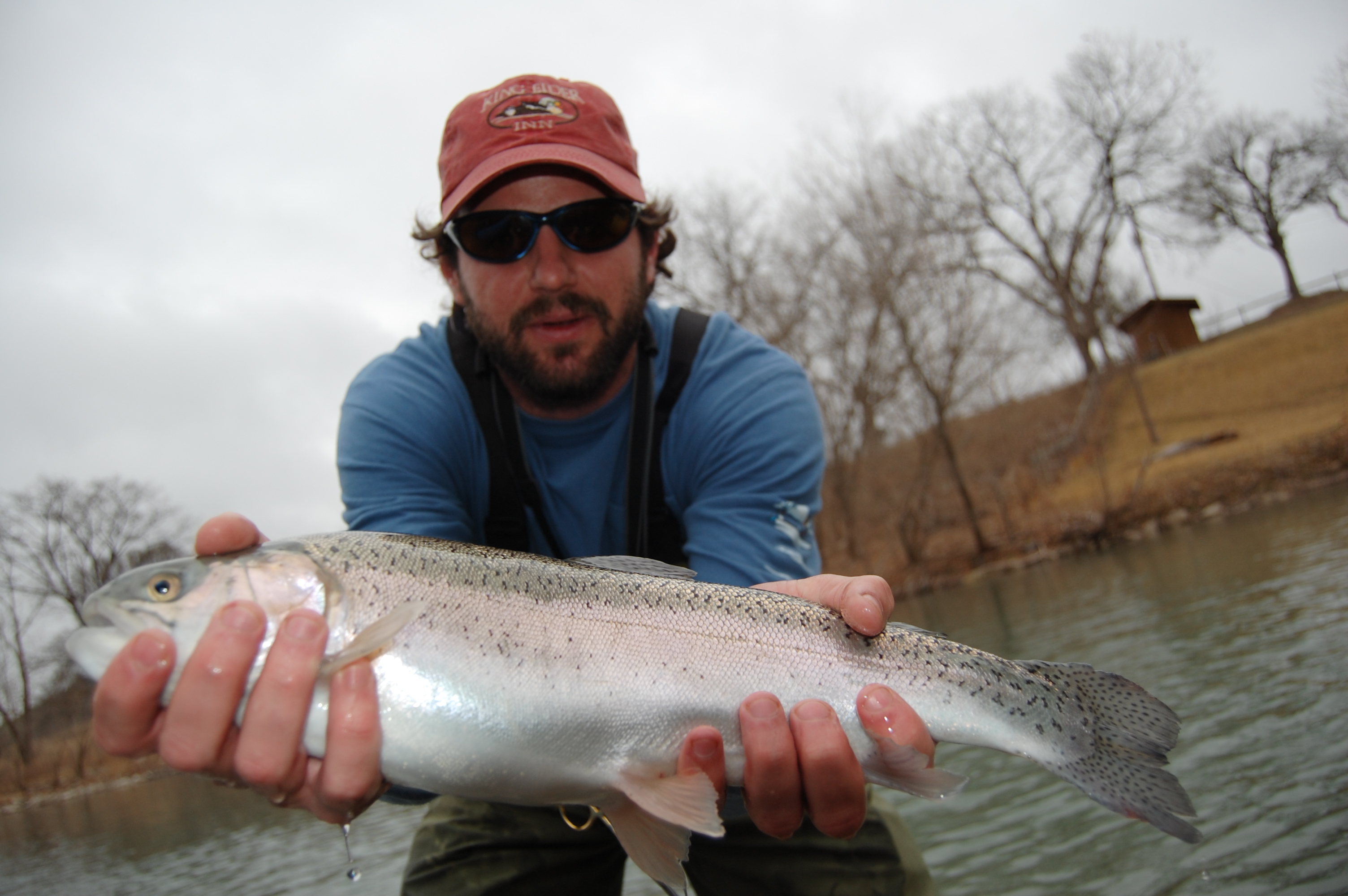 Guadalupe Trout