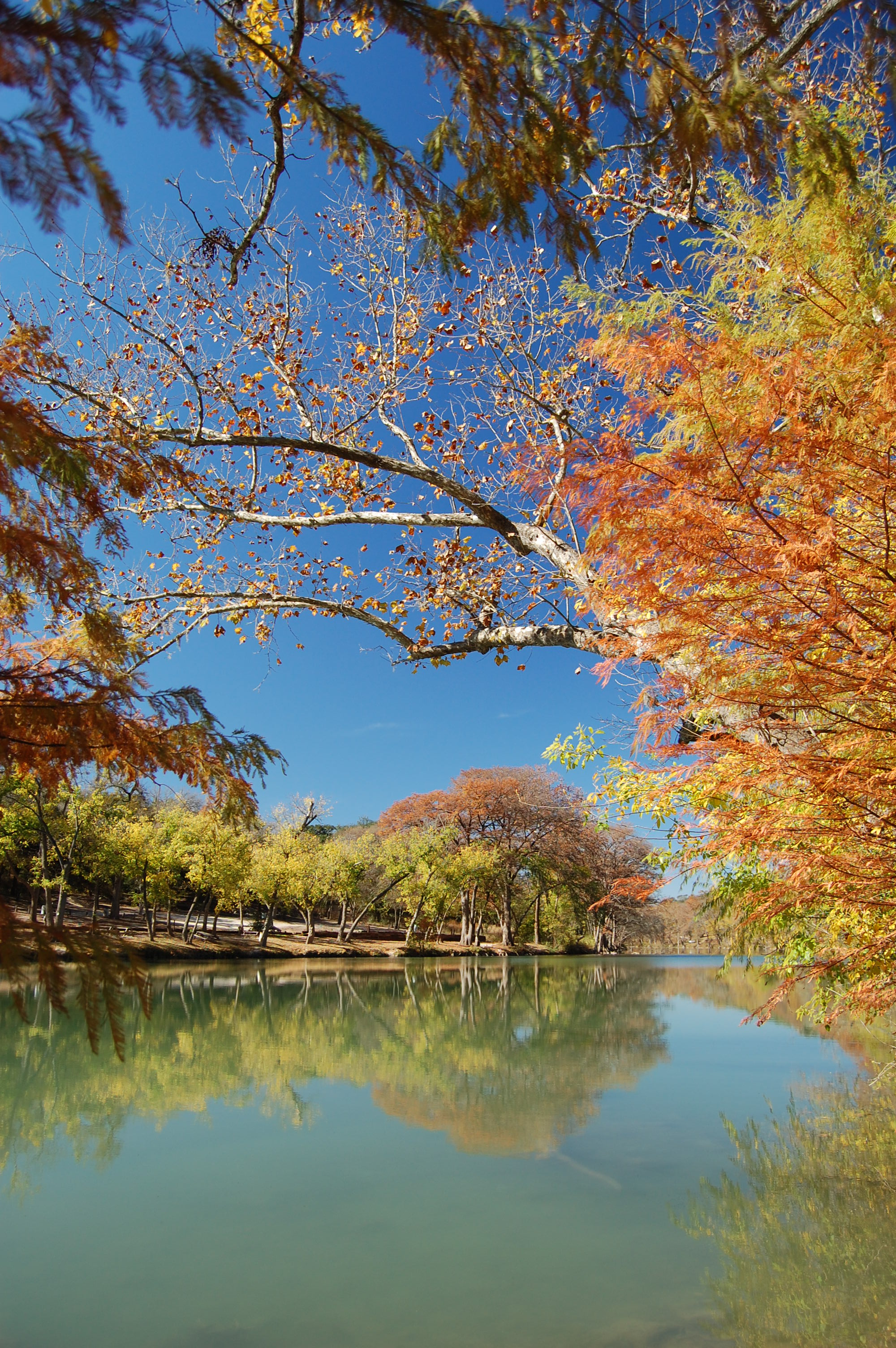 Fly Fishing Classes, Lessons, Instruction near Austin and San Antonio, Texas