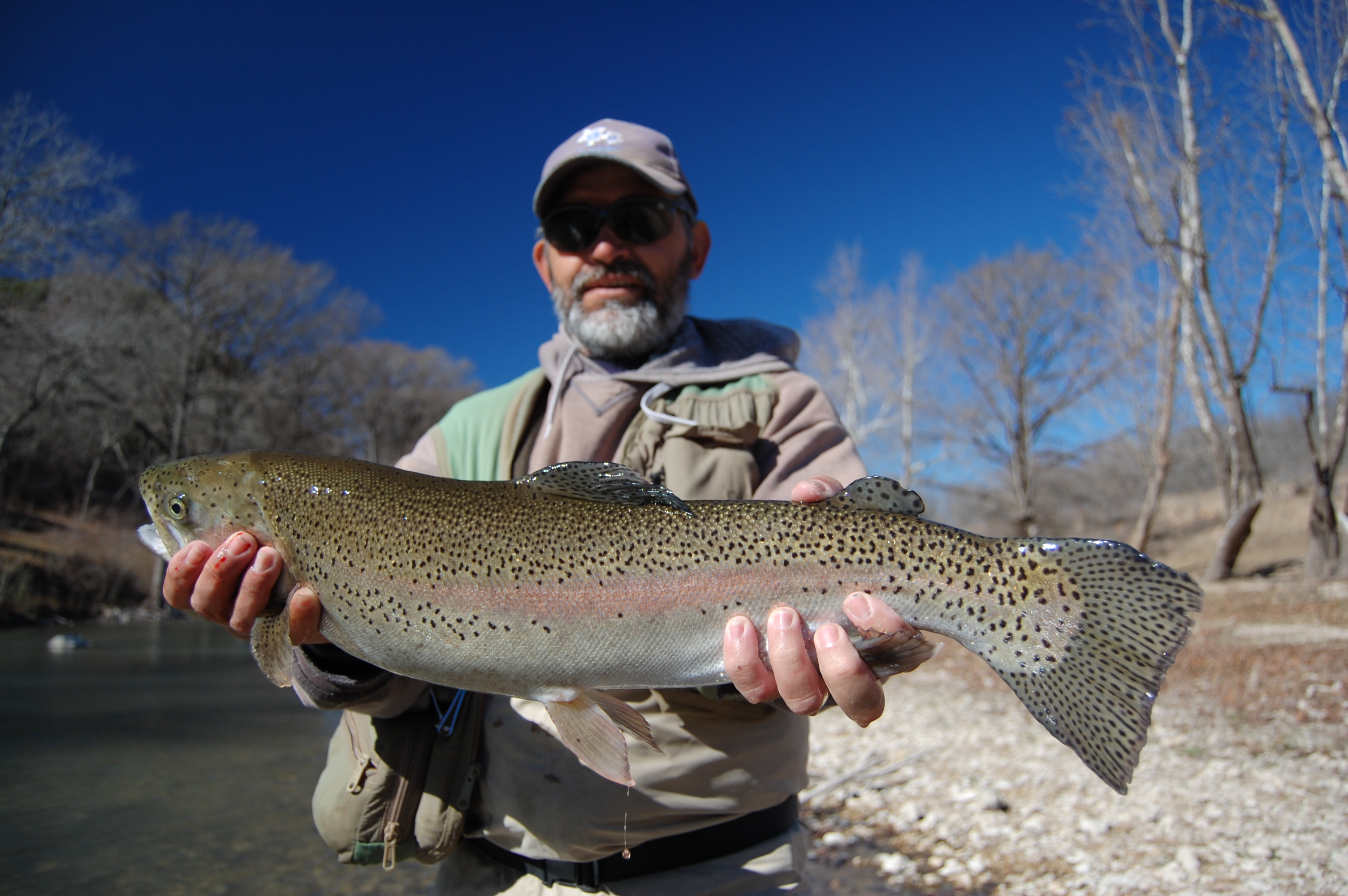 Possible "New State Record Rainbow Trout" caught in Guadalupe River