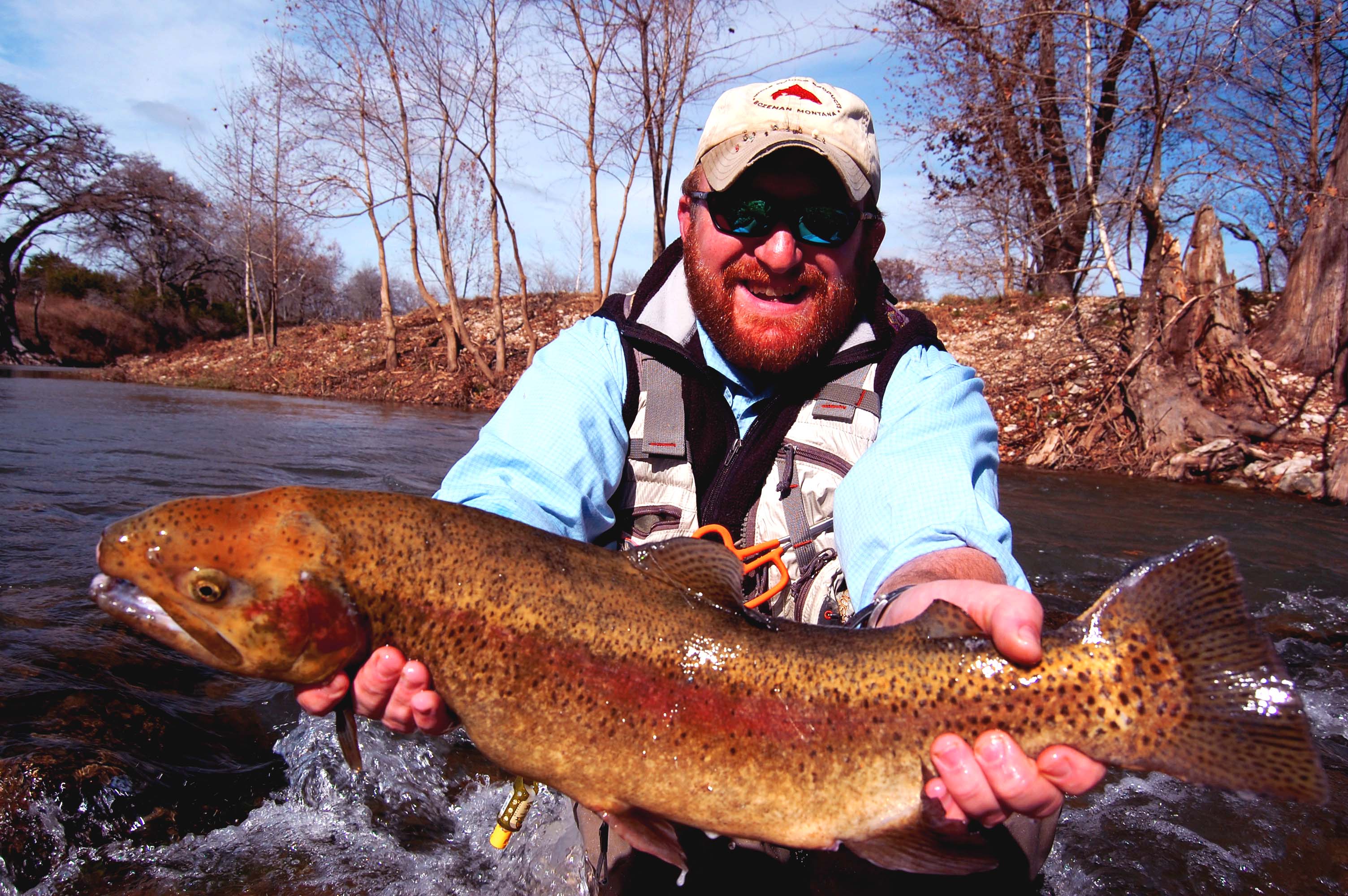 Guadalupe Trout, Fly Fishing Texas Trout