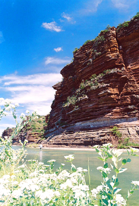 Fly Fishing Llano River