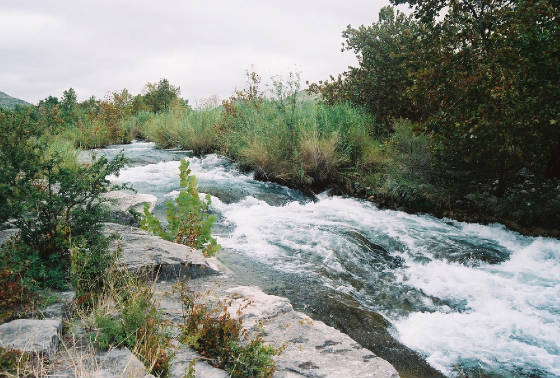 Hill Country Fishing Guide Trip