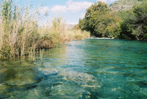 Hill Country Fishing Guide Trip