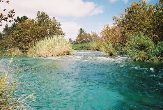 Fly Fishing Texas Hill Country