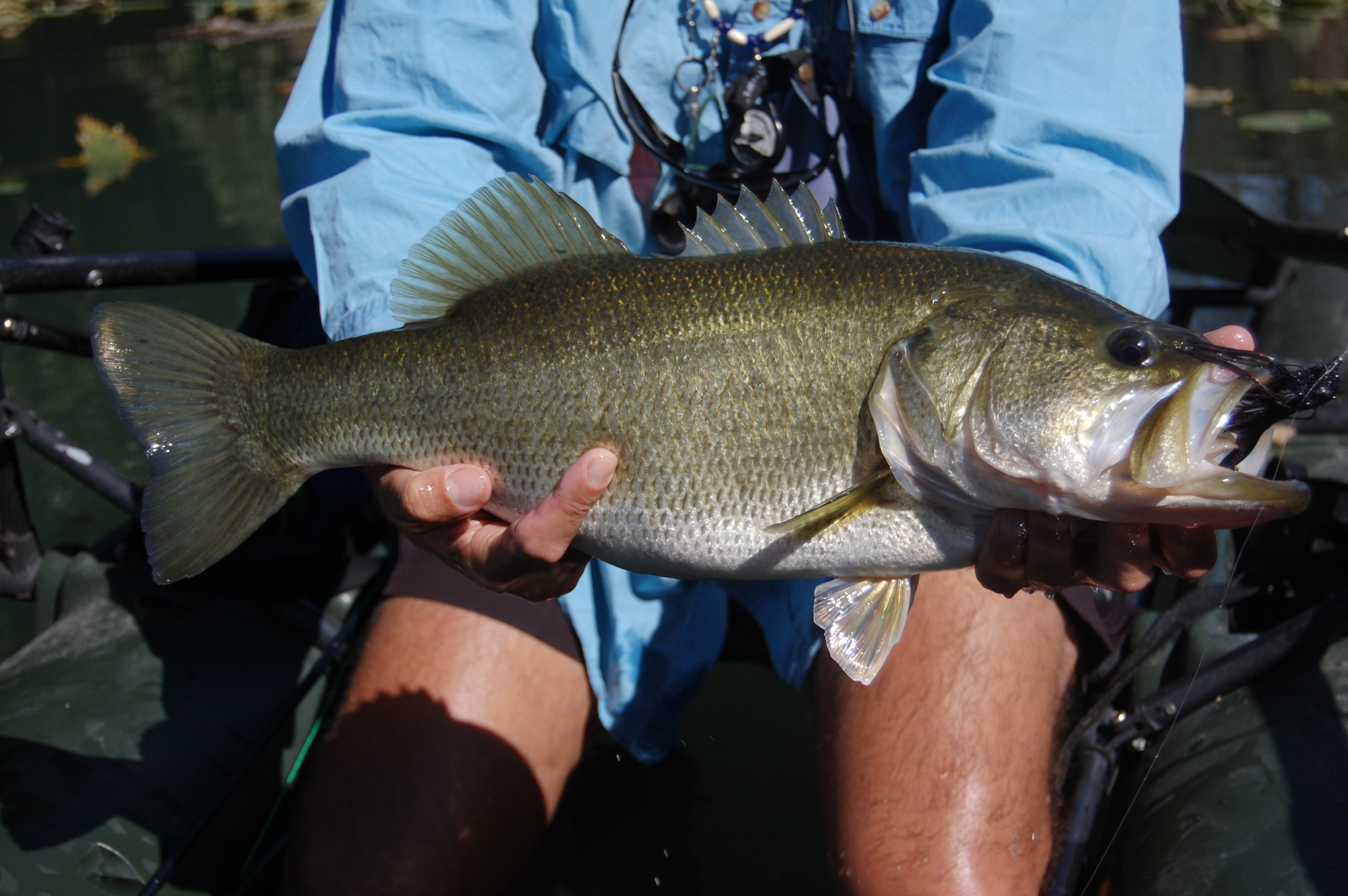 Fly Fishing Devils River